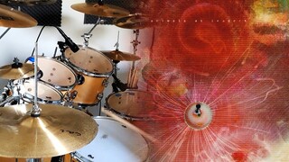 The Woven Web - Animals As Leaders 『Drum Cover』