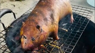 竹鼠：原来打架是会被爆炒的？