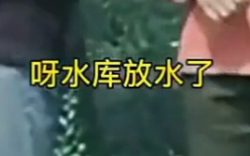 Video gốc về việc xả nước hồ chứa, cuối cùng cười bể bụng luôn. Sức mạnh của “anh trai”!