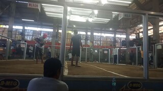 win mayahin
