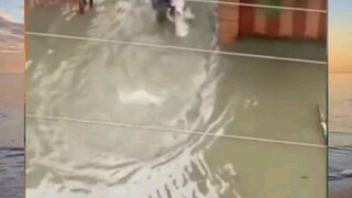 yang penting kerja kerja hasilnya belakangan
