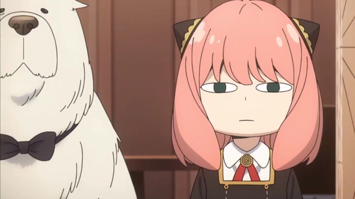 优雅哥又被阿尼亚搞破防了 黄昏当了一天牛马听到阿尼亚想学习以为又拿雷电，差点晕倒了