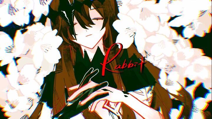 【Arknights/Amiya】🐰𝑹𝑨𝑩𝑩𝑰𝑻