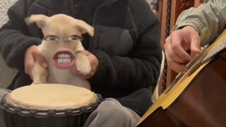 不要折腾我！