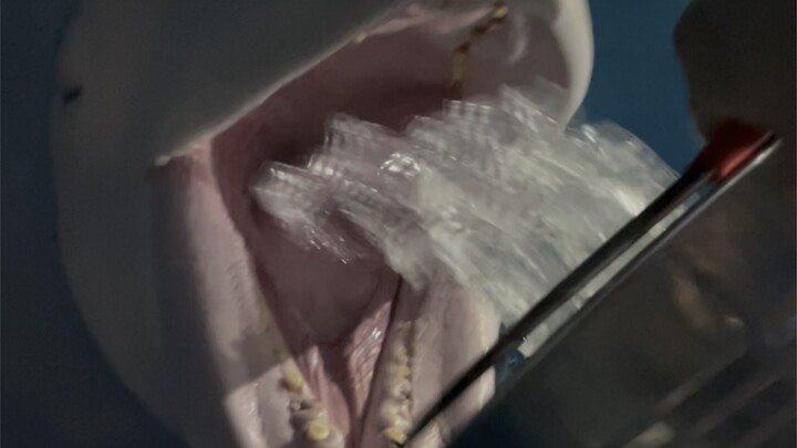 ทุกครั้งหลังเลิกงาน ฉันต้องคอยปลอบโยนเสี่ยวเฮยและต้าไป๋อย่างดีเลยล่ะ พวกมันไม่อยากให้ฉันจากไปเลย ควา