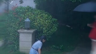 🎬รักต้องสู้ในรอยแค้น 🗣พากย์ไทย(เต็มเรื่อง)