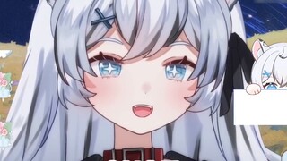 The interviewer found out that I was a virtual anchor...