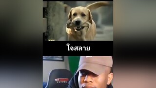 คนไทยเป็นคนตลก  สงสารนาย