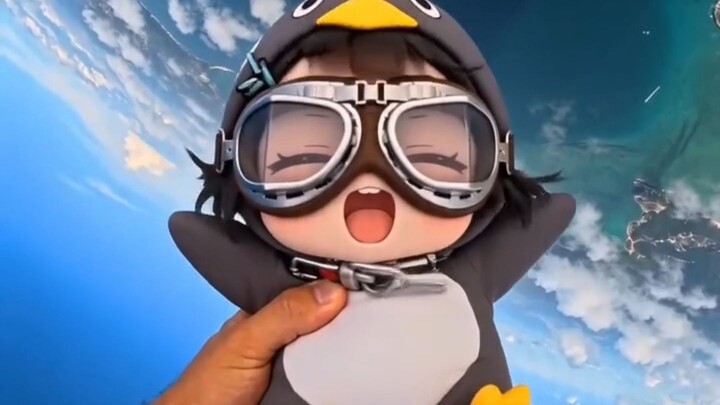 Little Penguin Pilot