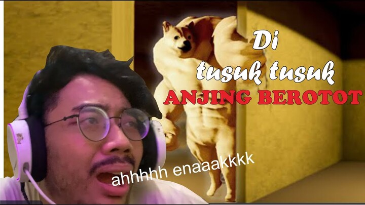 DI KEJAR ANJING BESAR ALASKA | Backrooms buffdoge