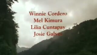 MAGIC KINGDOM : ANG ALAMAT NG DAMORTIS (1997)