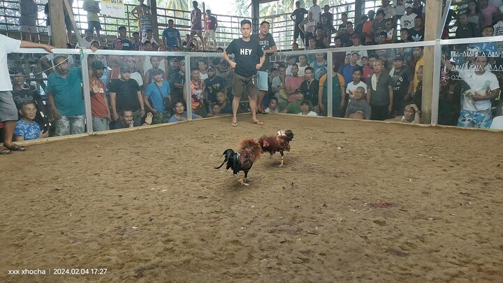 poyloyTari tutorial #12 win