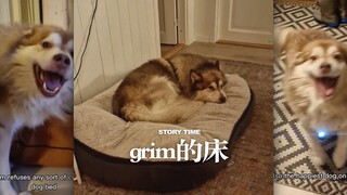 Grim won't sleep on any other bed except this one. It turns out it's because...