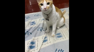 พอของกินอ่ะพูดง่าย