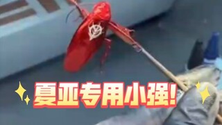 他在玩一种很新的东西！！夏亚专用小强！