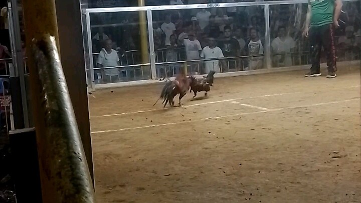 Win-Tubaon vs binabae