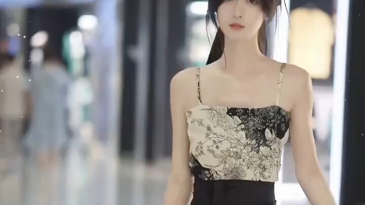 收藏计划59期-阿渣猫