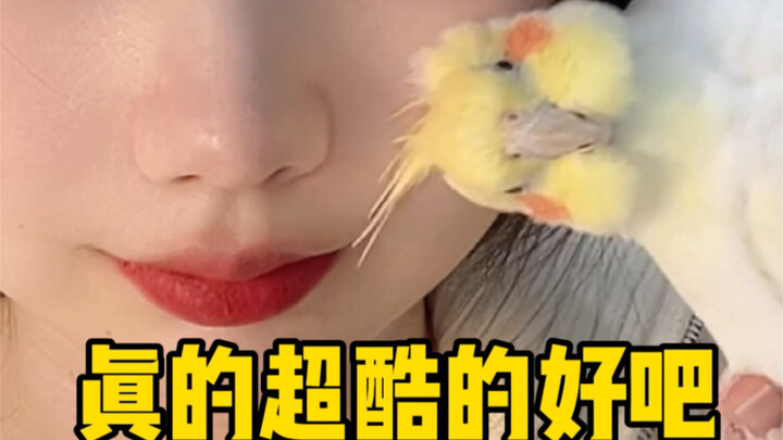 不是吧…这小玩意真的有审美吗