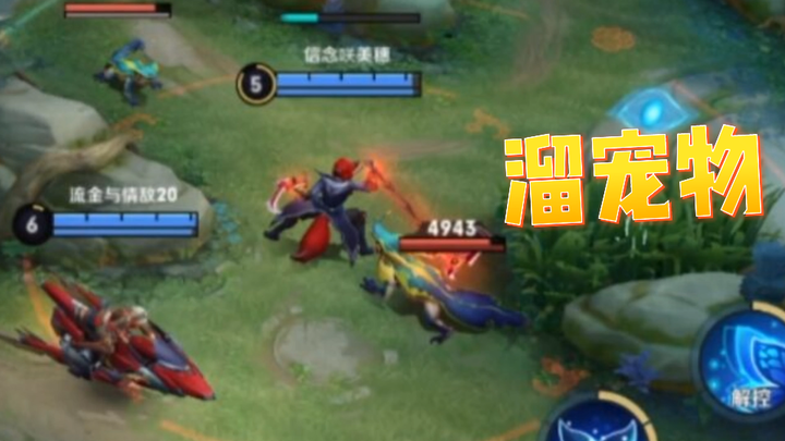 Komentar Laga Perunggu Honor of Kings: Ikat Tali untuk Mengajak Hewan Peliharaan Jalan-Jalan