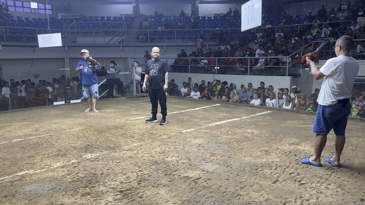 SDM BLACK win 2x winner