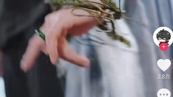 Kids, Mingchao also has his own abstract web drama.