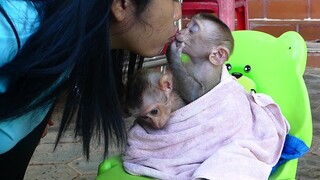 So sweet little Maki!! Smart Monkey Maki sweet kiss mom's very softly after Take a bath