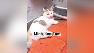 Cháu tui mất dại như bà ai kia 😭😭 mèo cat