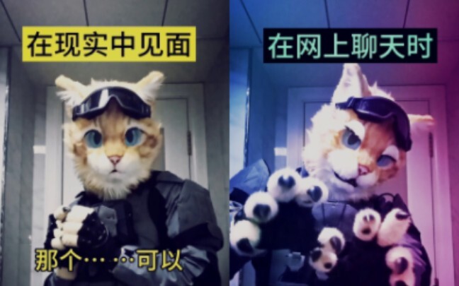 What are you looking at? I'm talking to you!