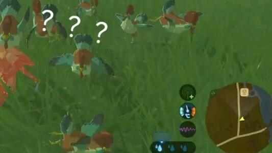 [The Legend of Zelda] Chicken God: Honestly, I Am A Yiga Clan Member
