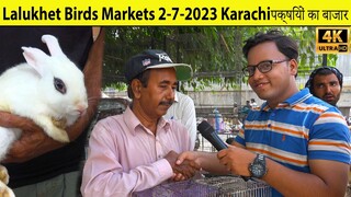Lalukhet Exotic Birds Parrots and Hen Rooster Markets 2-7-2023 Karachi Rare and