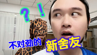 如果必须选一个做你的舍友 你选谁？
