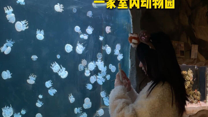 สวนสัตว์ในร่มที่ห้ามพลาดเมื่อมาเยือนฉางซา!