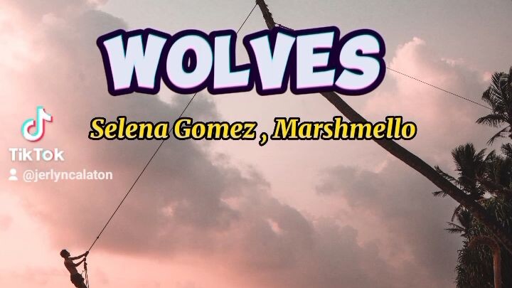 Wolves ni Selena Gomez Marshmello #fullsong#Lyricsong