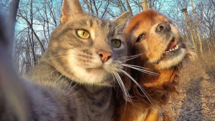 Life Is Short, So Enjoy It While You Can!