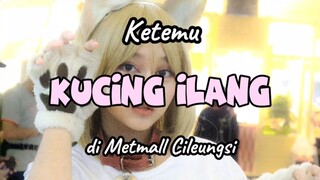 Nemu kucing ilang di Mall | Osakana Neko