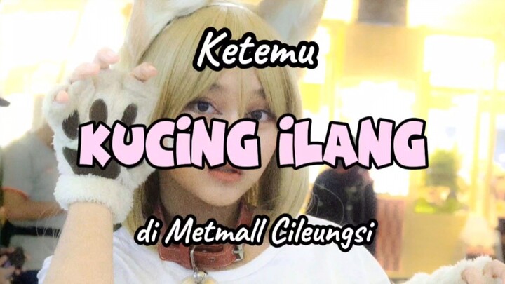 Nemu kucing ilang di Mall | Osakana Neko