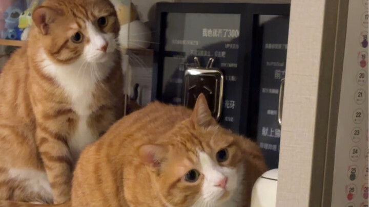 “妈妈，你是小孩子吗？”