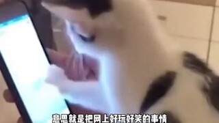 ศัพท์ใหม่: "สุนัขตรวจการณ์อินเทอร์เน็ต"