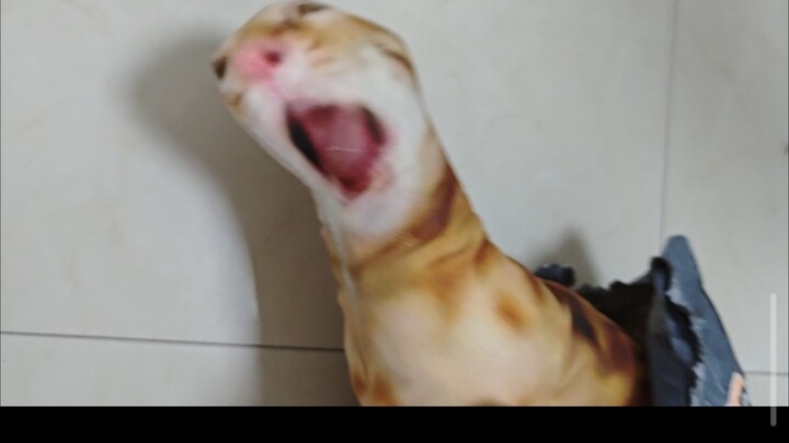 “เรื่องที่ฉันดราฟกับข้าวของในกระเป๋าหลักแล้วได้ไอเท็มไล่ไช่”