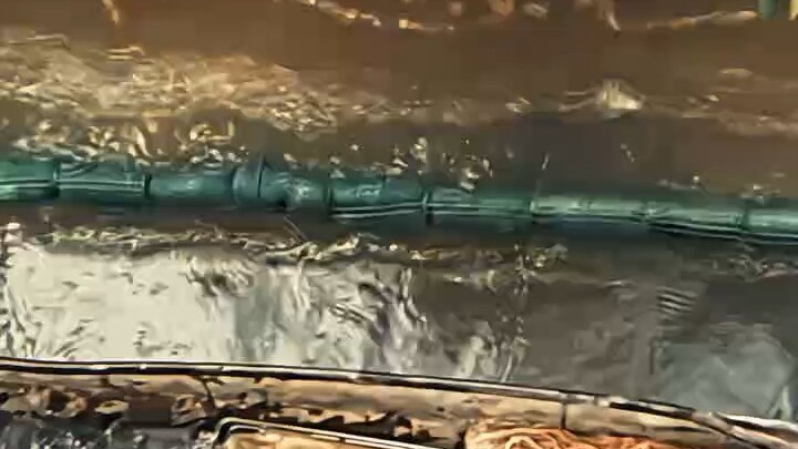 《辣条只是你的谎言》 #辣条 #捕鱼 #惊吓