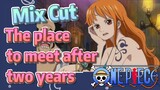 [ONE PIECE]   Mix cut |  The place to meet after two years