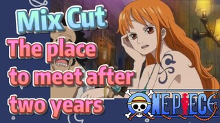 [ONE PIECE]   Mix cut |  The place to meet after two years