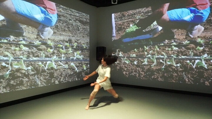 Re-sprout: The Dance of Farmers