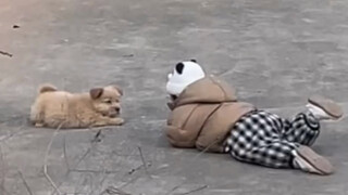 A childhood without a puppy companion is incomplete.