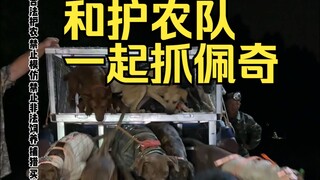 野猪泛滥？和专业的护农队一起狩猎，看看今晚能拿下几只佩奇！！