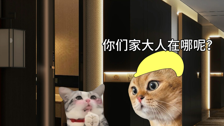 Saat kamu punya pacar yang terlihat sangat imut dan muda