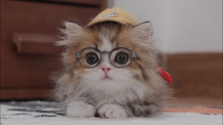 My eyes are about to be as big as my glasses.
