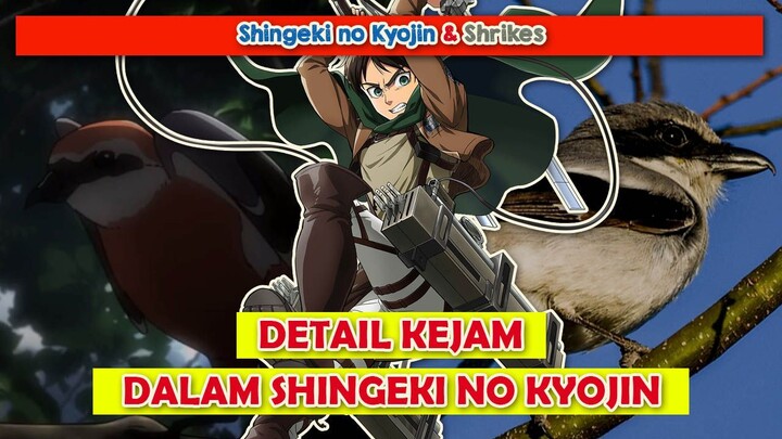 Bukan Sekedar Burung | Shingeki no Kyojin