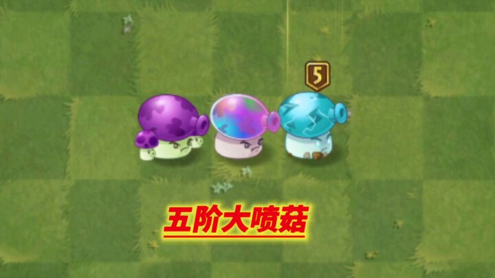 New Level 5 White Card Big Spray Mushroom