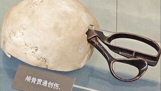 上海的这家博物馆，一定要去看看